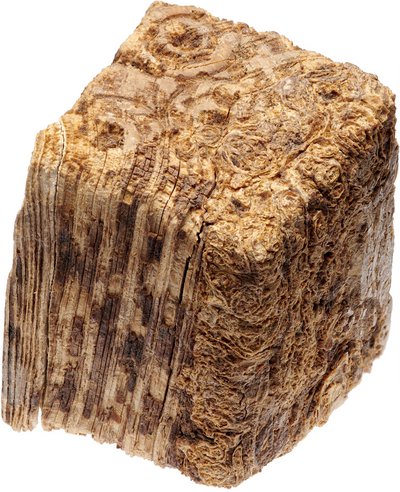 Dice